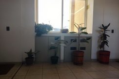 IMG_20240714_165052